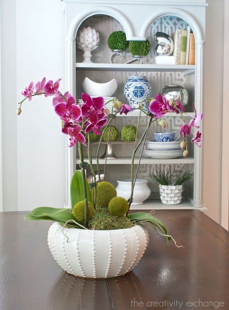 Кашпо для орхидей в интерьере