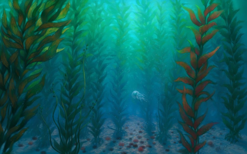 Подводный пейзаж