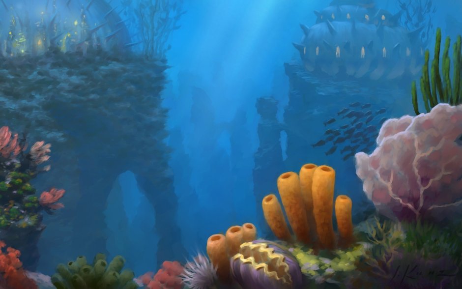 Дно океана кораллы