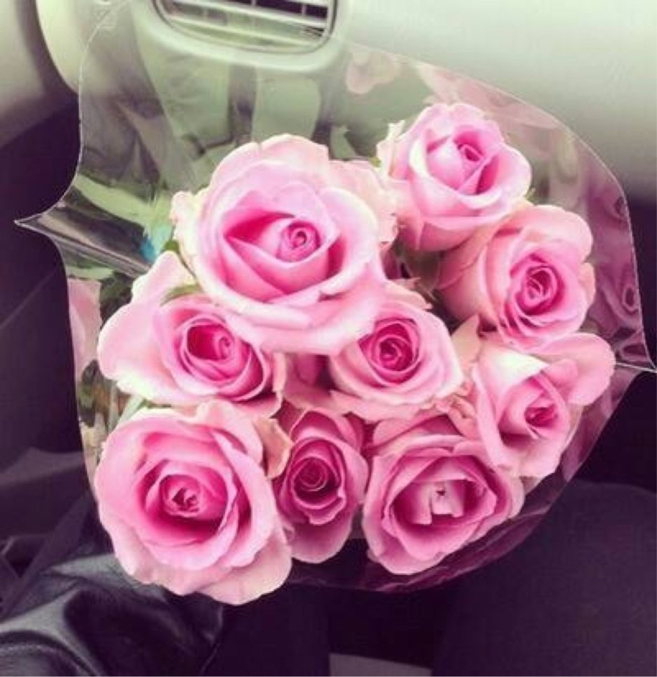 Розовые розы в машине