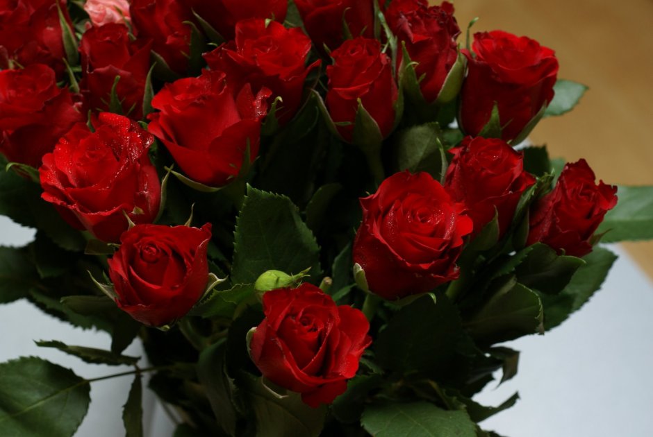 Красивые розы для хорошего настроения