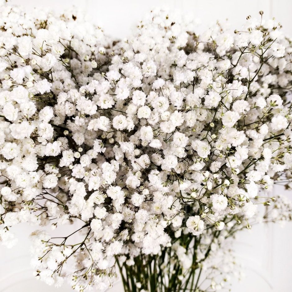 Белые маленькие цветочки в букетах