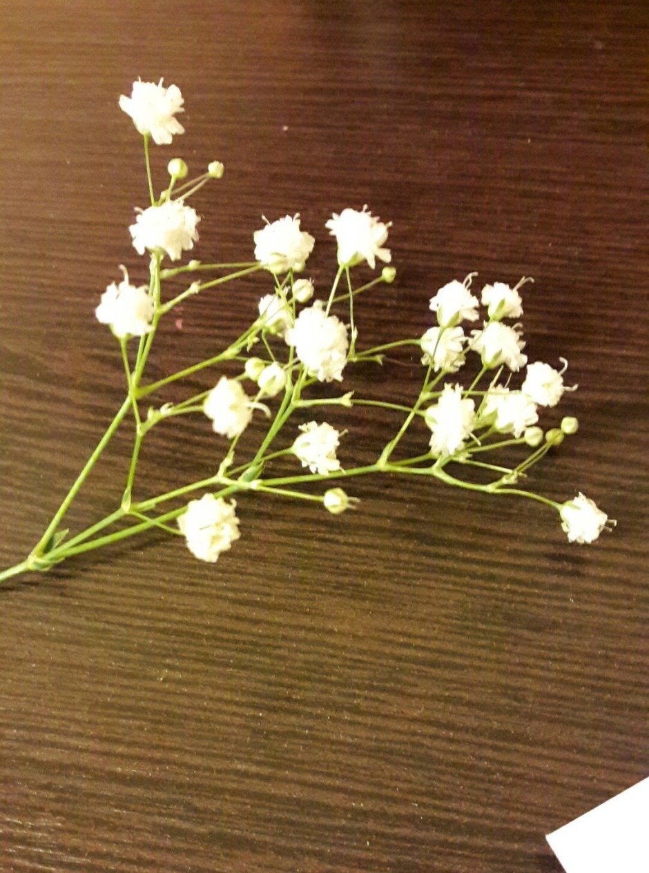 Маленькие цветы для украшения букета
