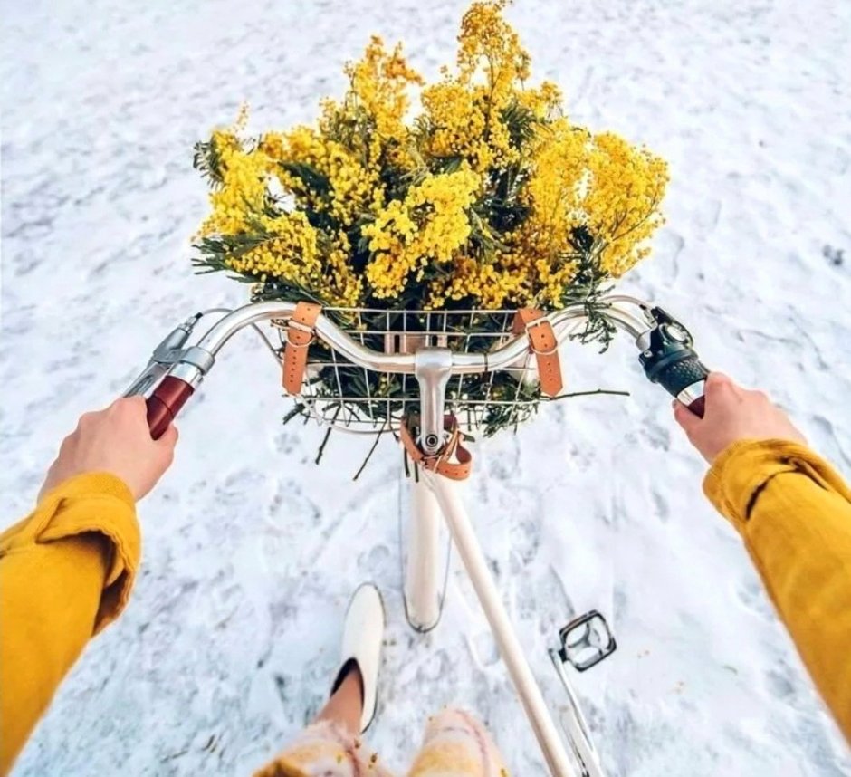 Зимние желтые цветы