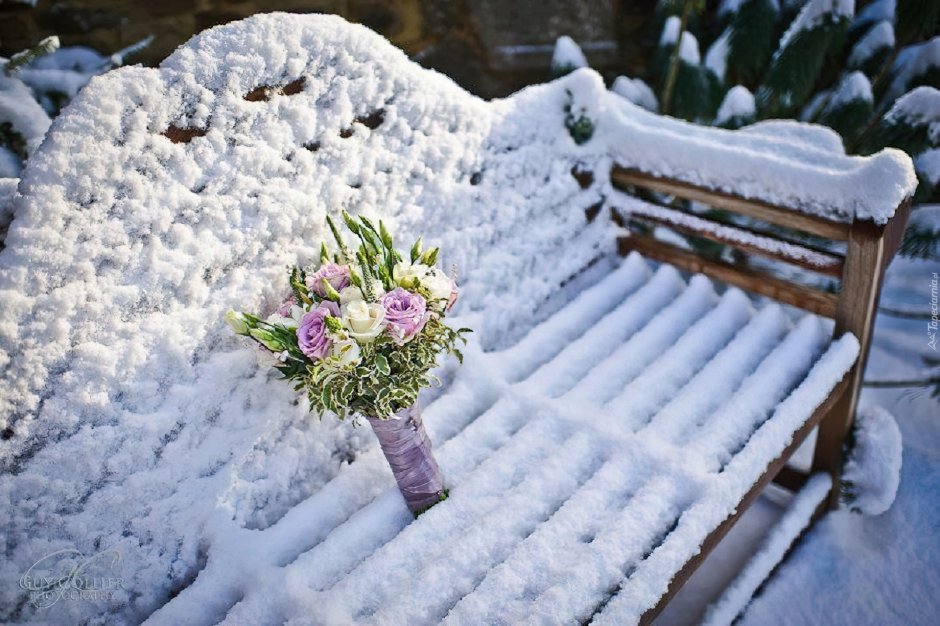 Зимний букет цветов на снегу