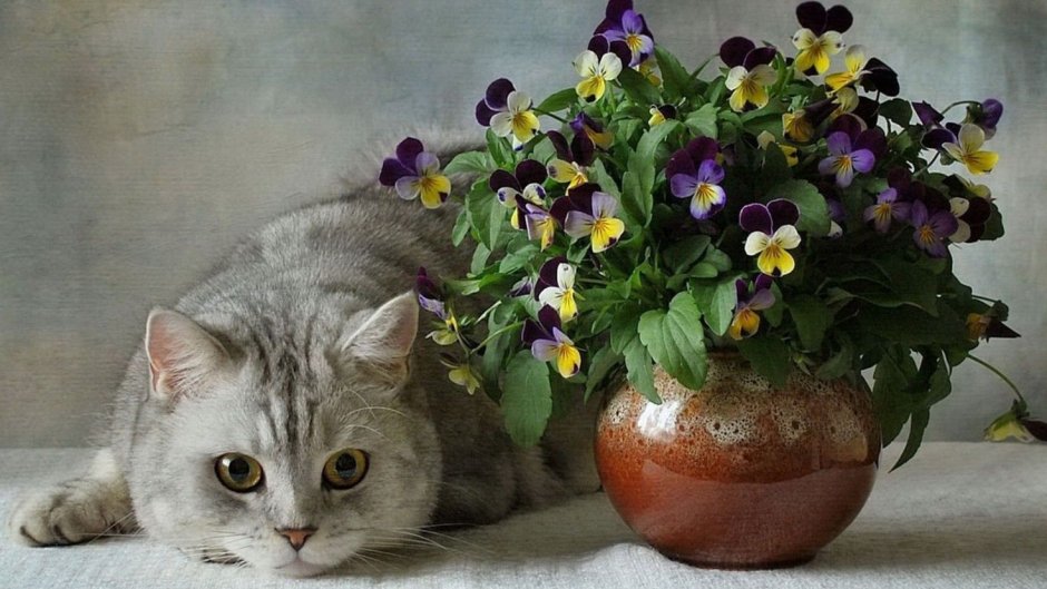Кошечка красивая с цветами