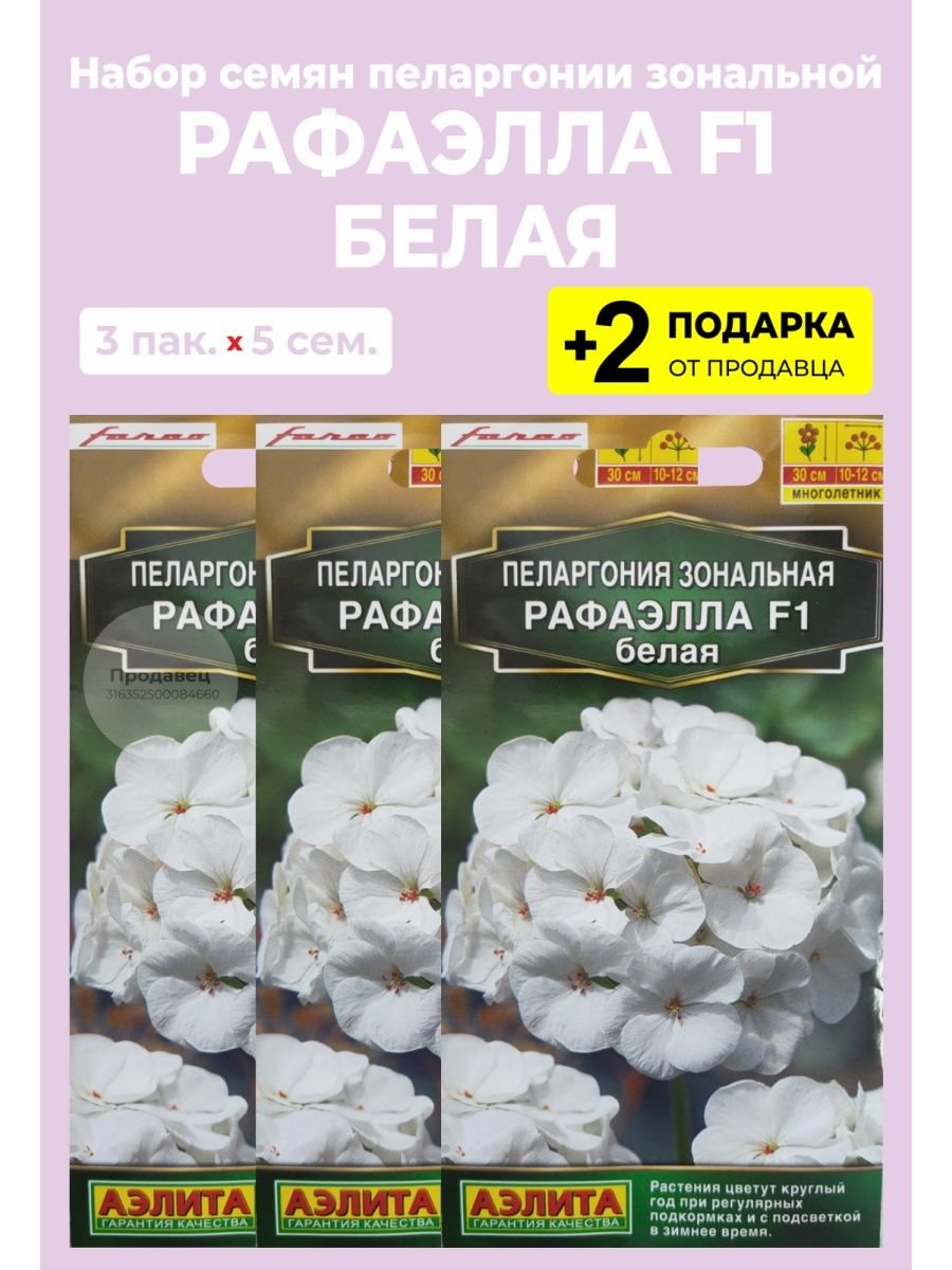 Пеларгония Рафаэлла семена цена в ВБ