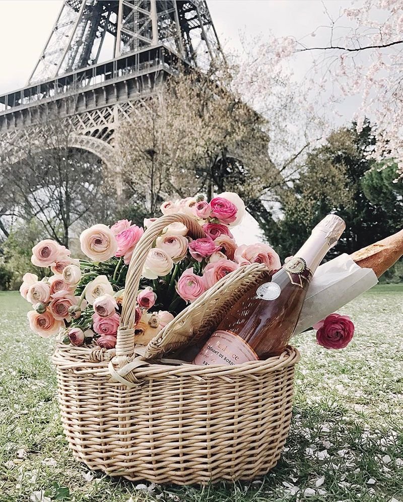 Париж пикник Эйфелева цветы