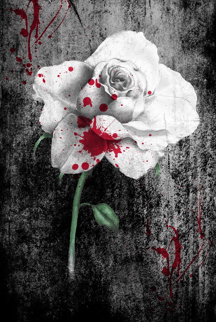 Кровавая роза