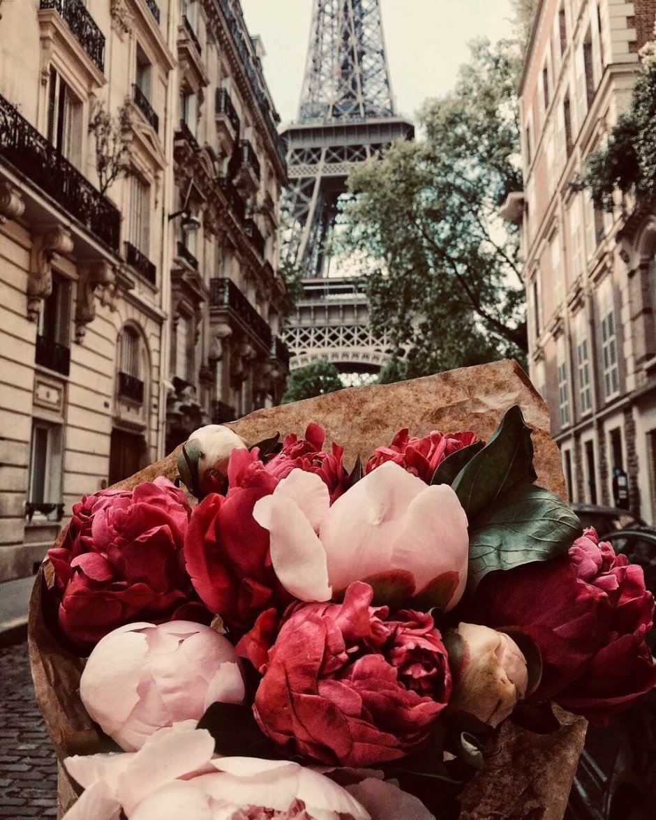 Парижские цветы