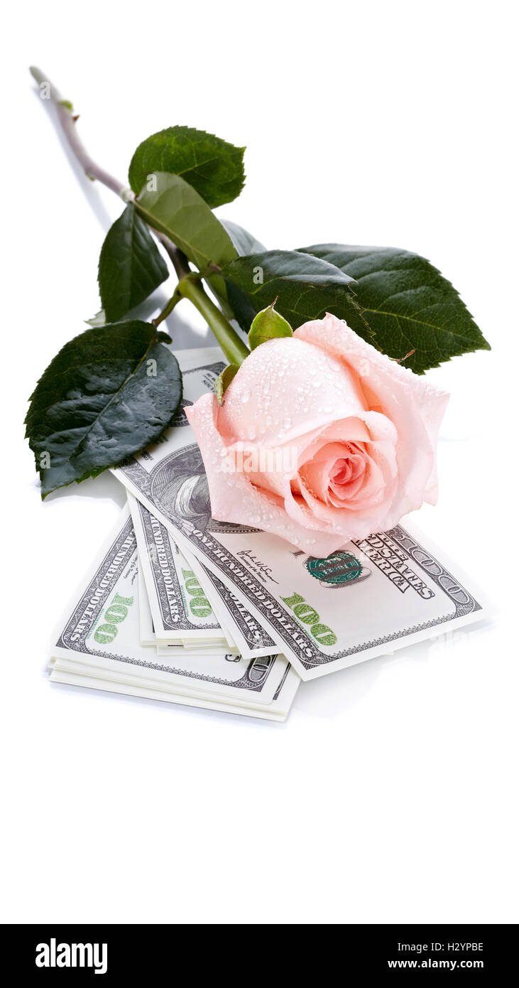 Розы с деньгами