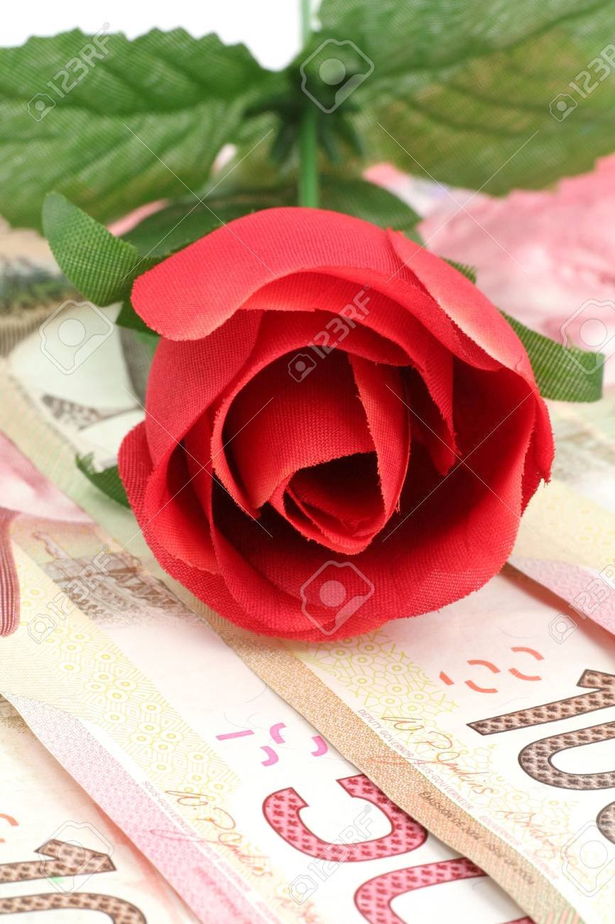 Роза и доллары открытка