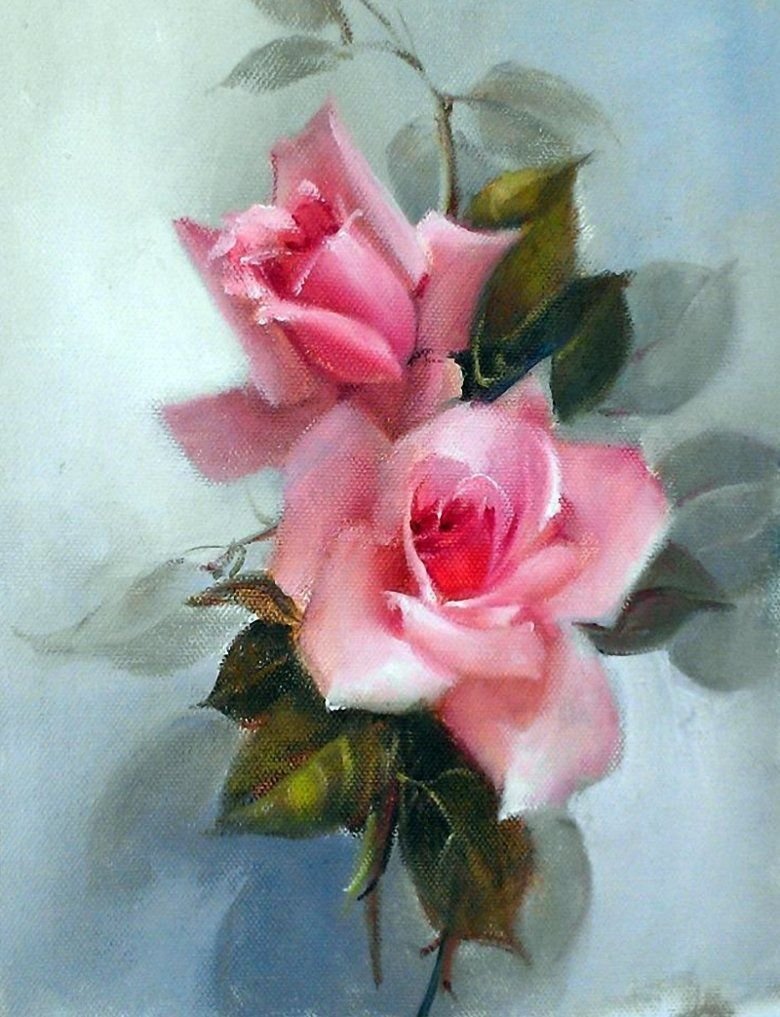 Jill Kirstein розы