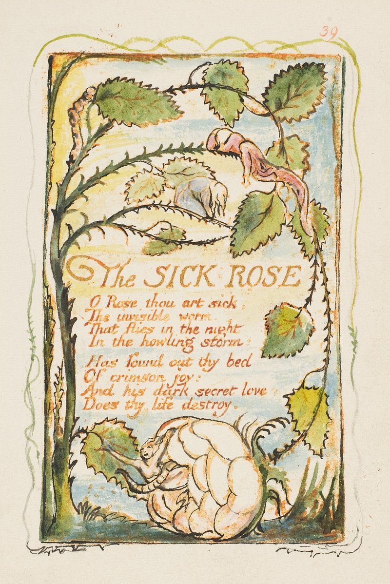 Больная розы стихотворение Блейка
