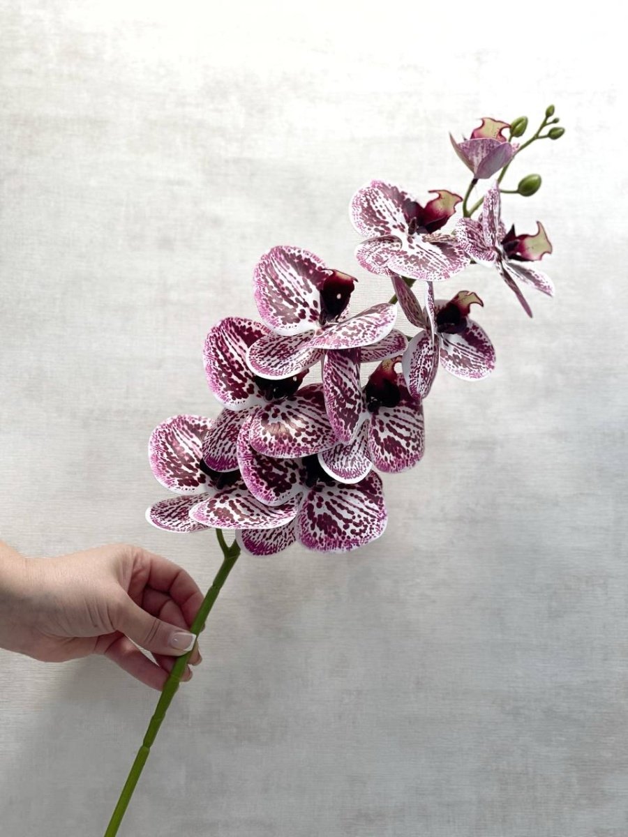 Цветы Орхидея искусственная ветка