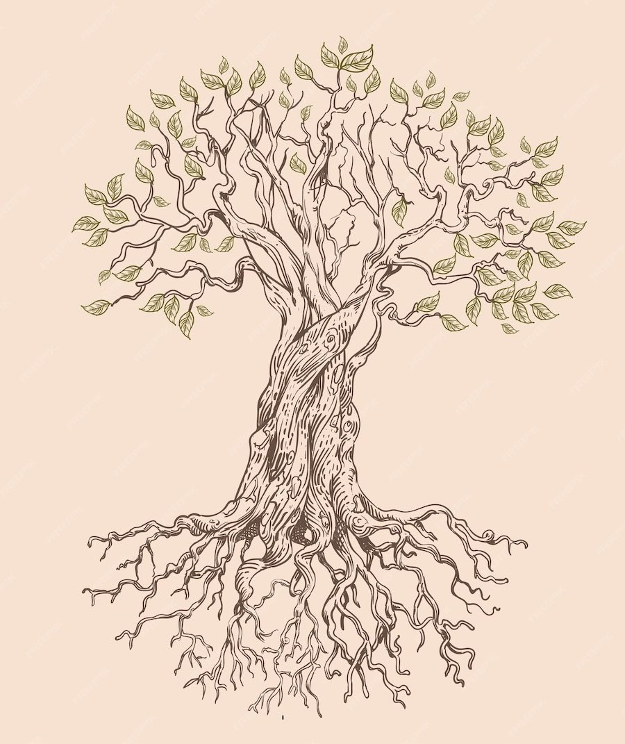 Эскиз тату дерево с корнями