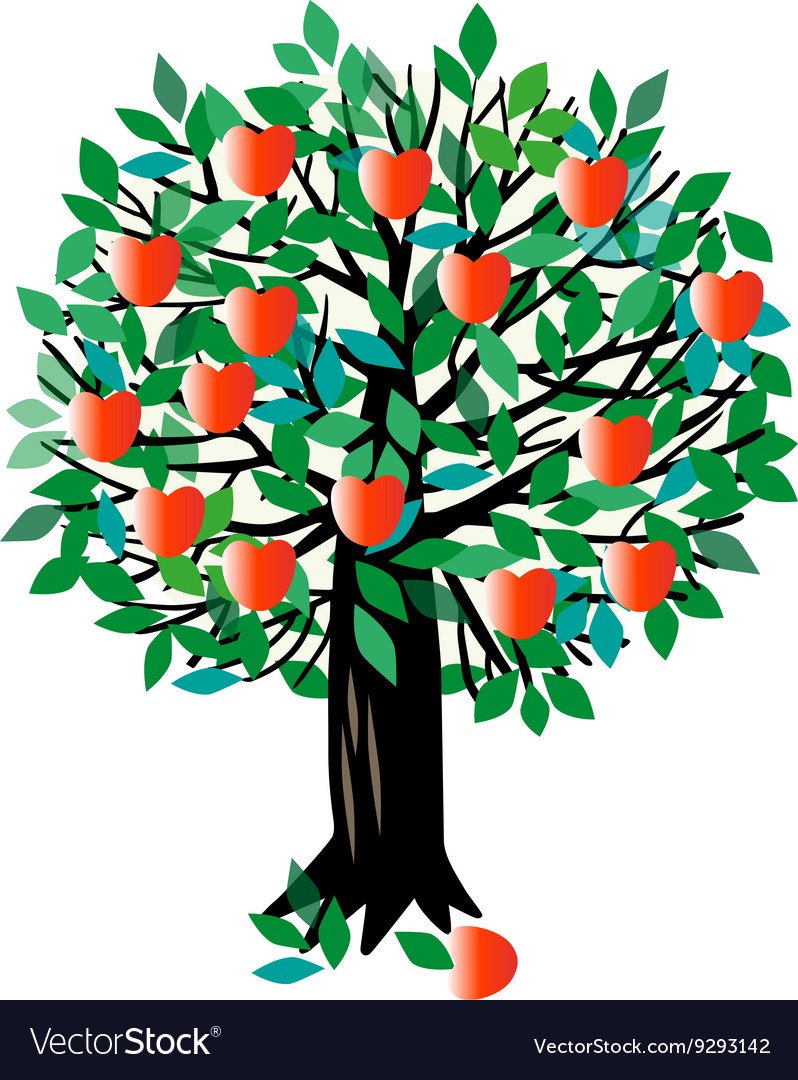 Чудо-дерево яблоня Мичурина