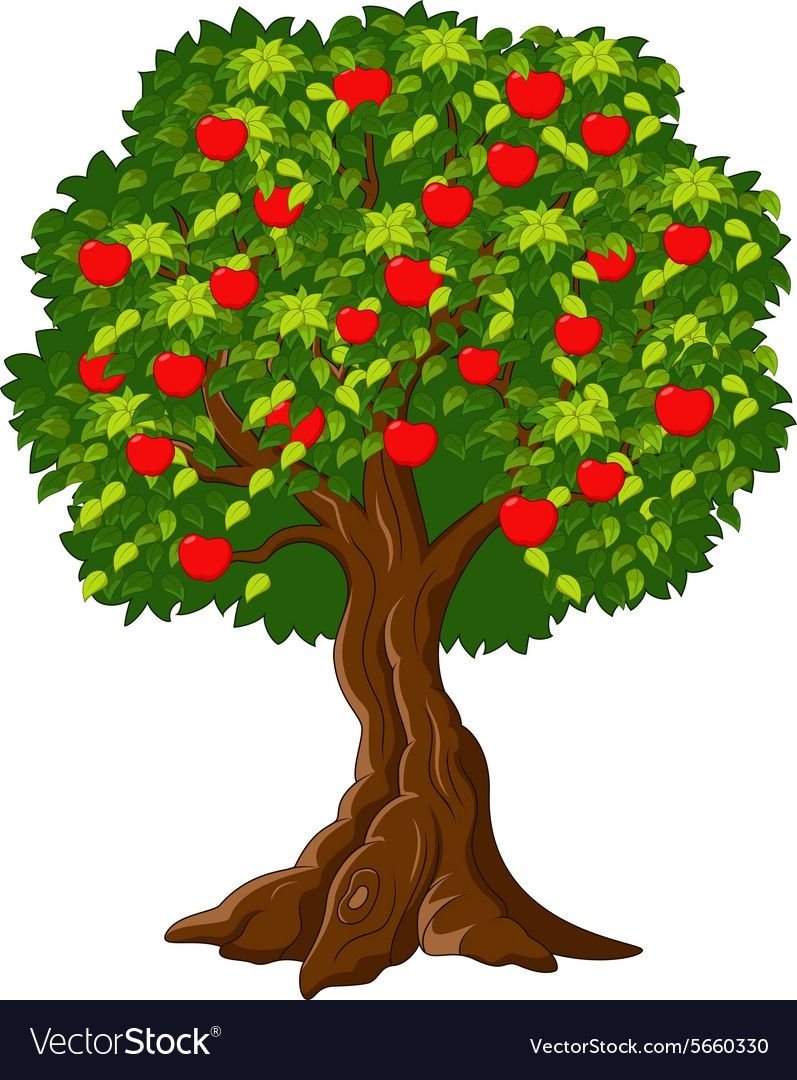 Дерево яблони ред чиз