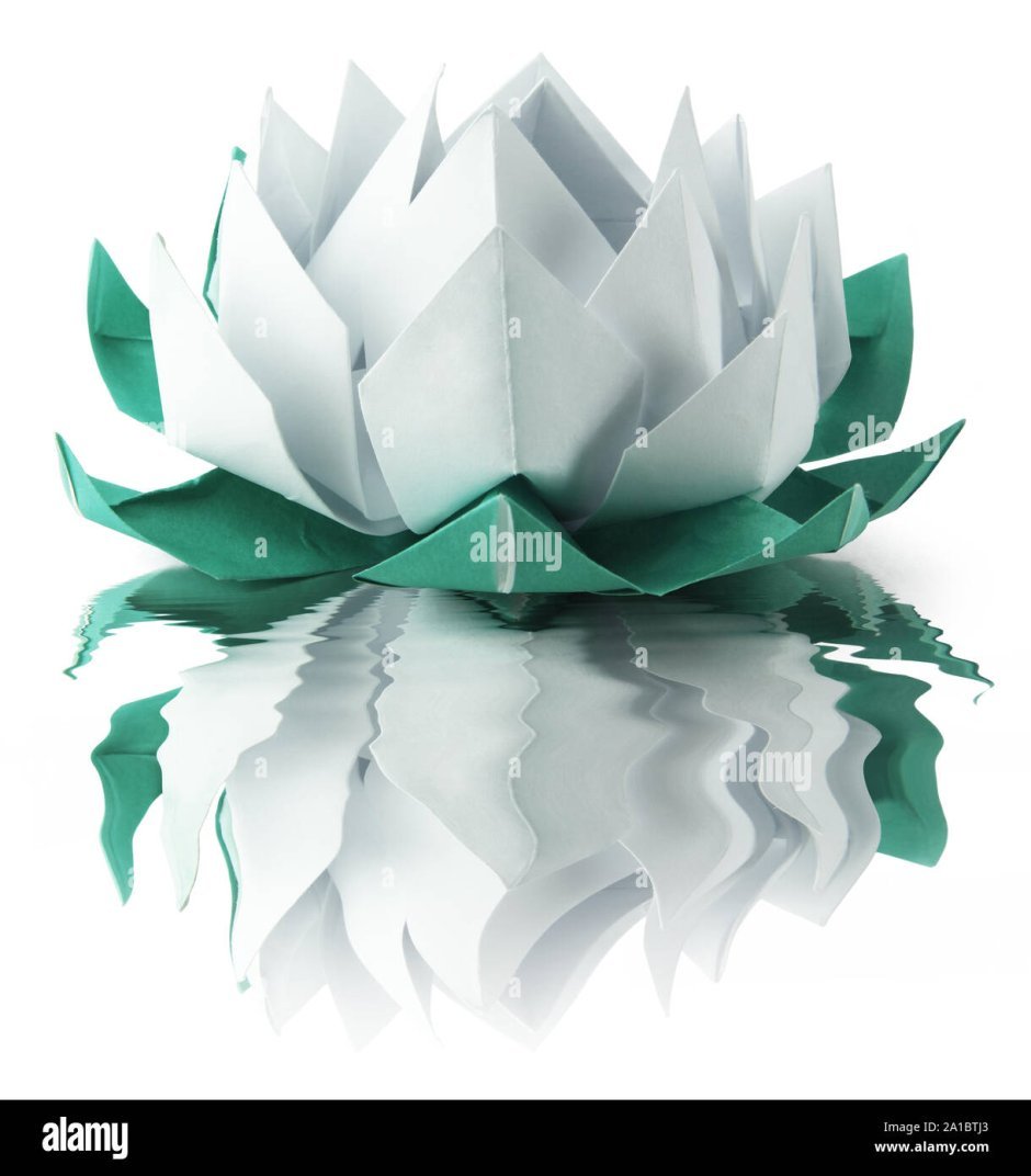 Оригами белый цветок лотоса