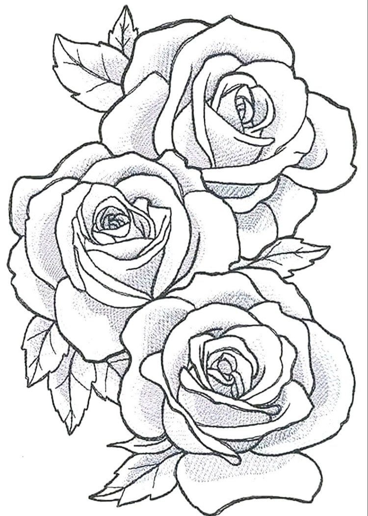 Легкий рисунок розы