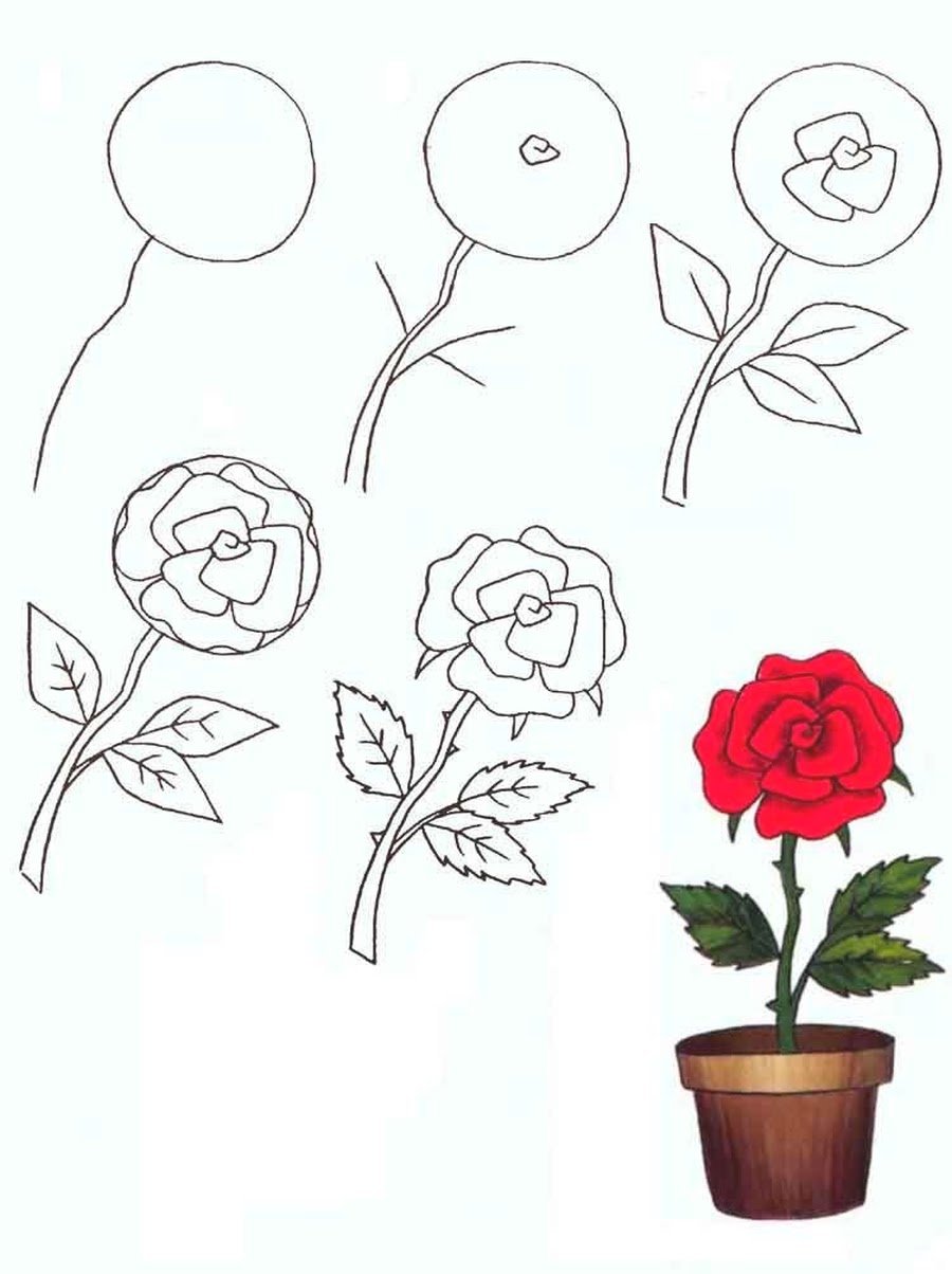 Цветы для рисования