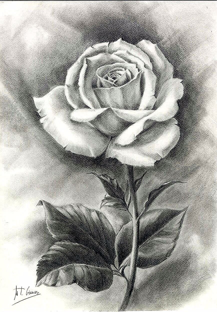 Кара роза