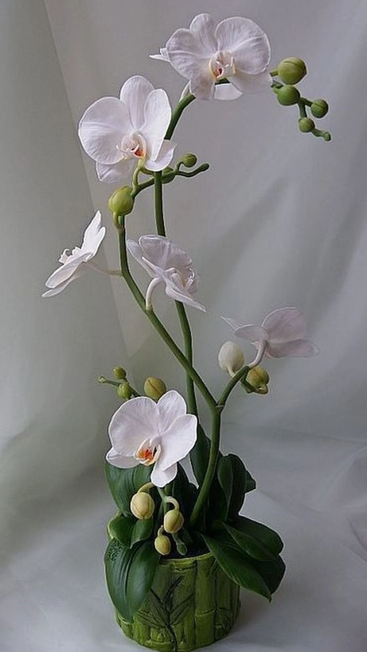 Орхидея фаленопсис из полимерной глины