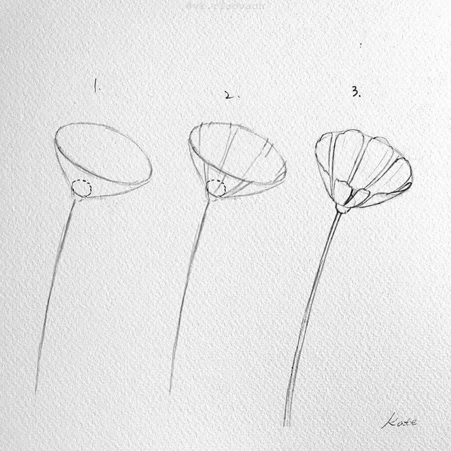 Рисунки карандашом цветы и растения