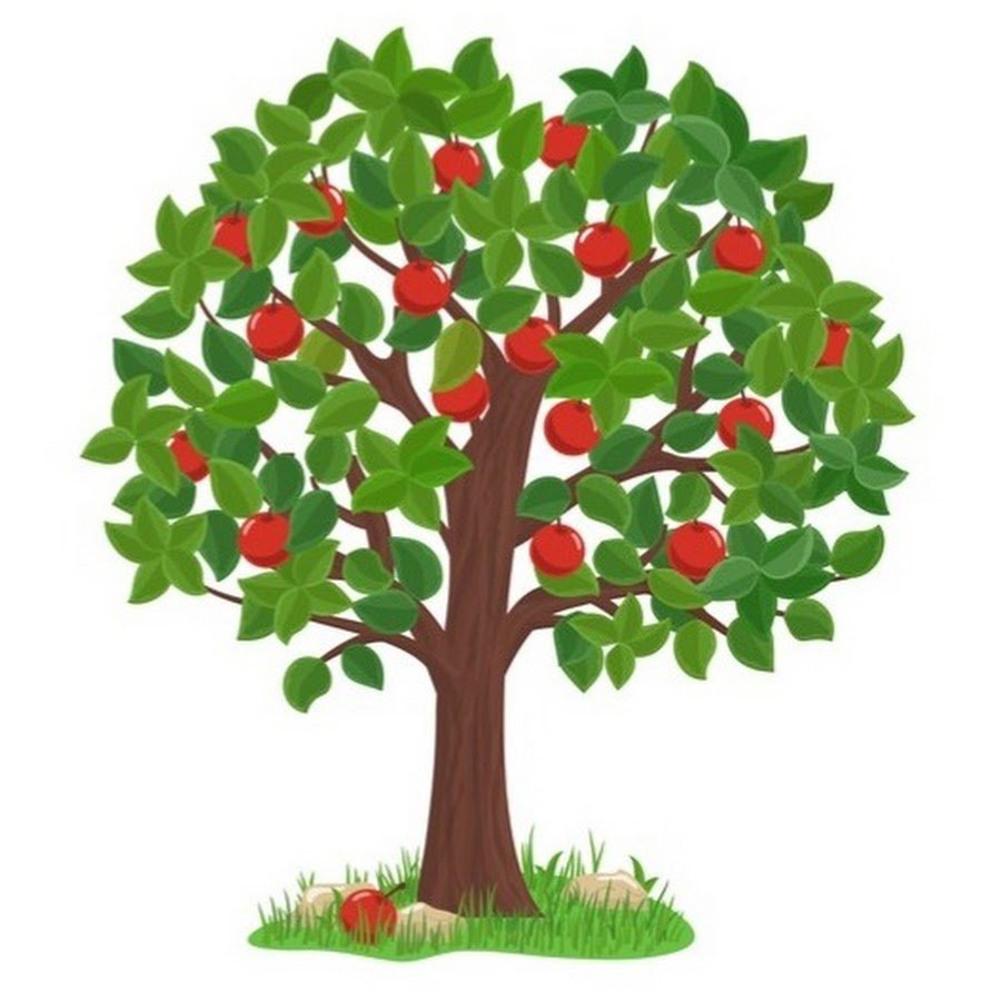 Дерево с яблоками вектор