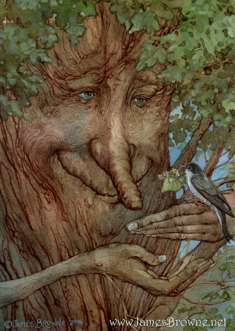 Сказочные деревья Джеймса Брауна