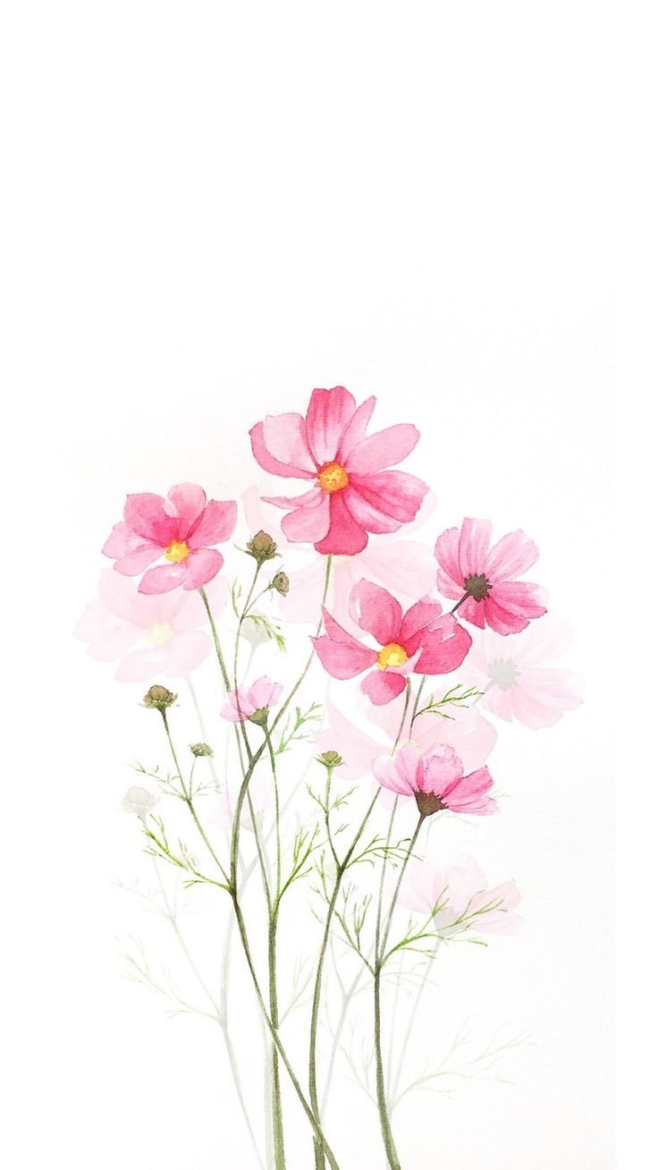 Рисунки цветов акварелью