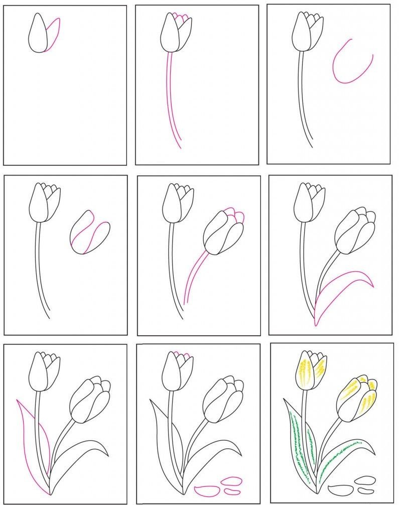 Рисование цветов пошагово
