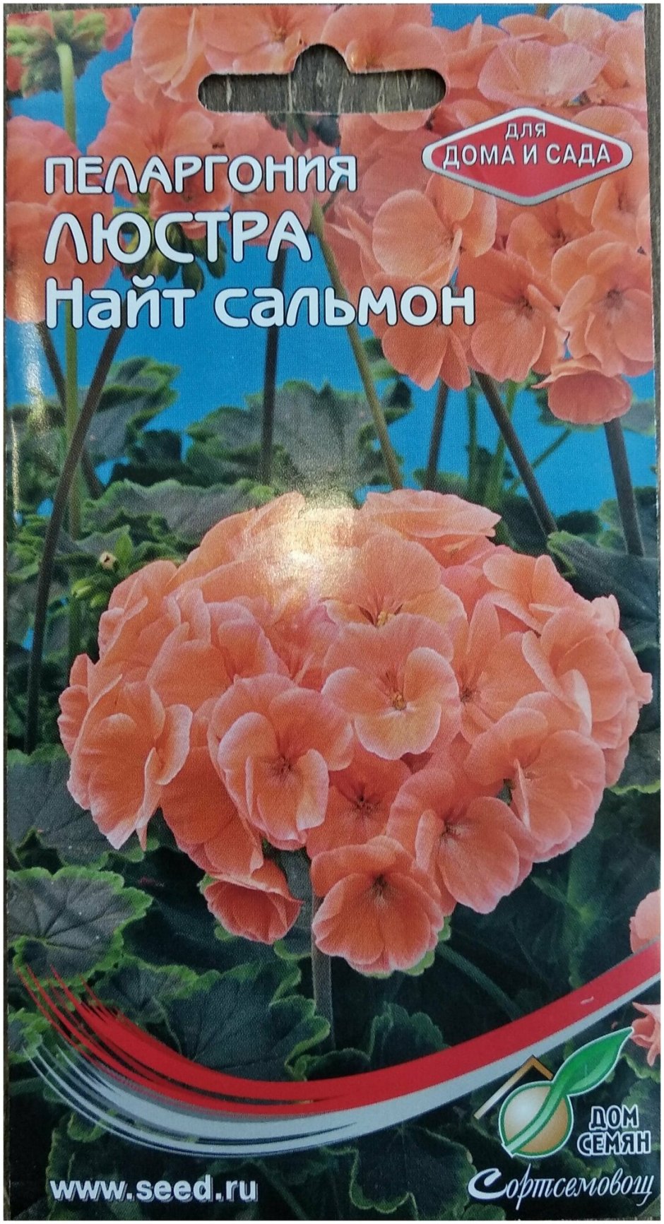 Пеларгония люстра Салмон