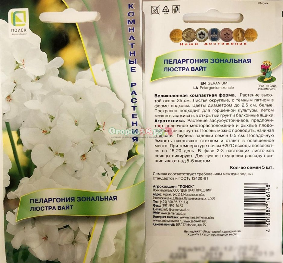 Пеларгония люстра White