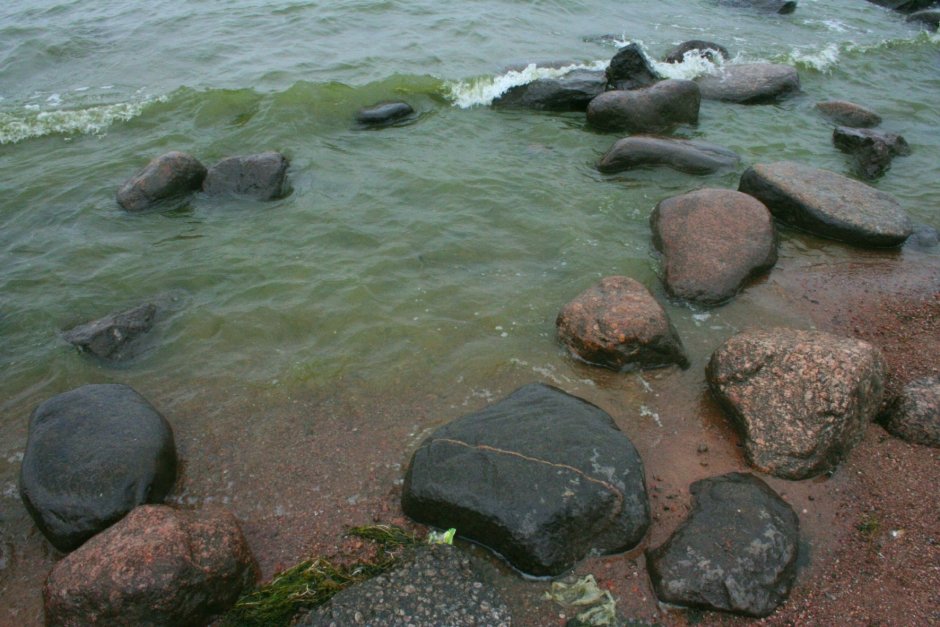 Финский залив в Лужках