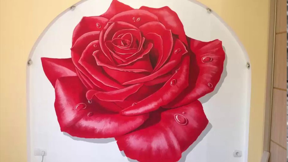Розы на стене нарисованные