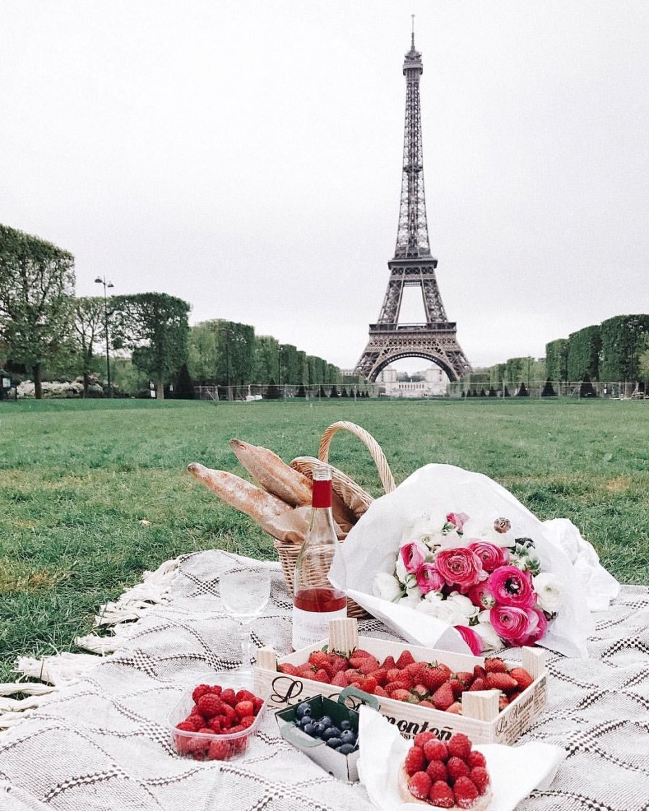 Париж пикник Эйфелева