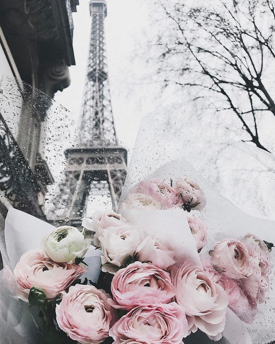 Весна Эстетика Париж