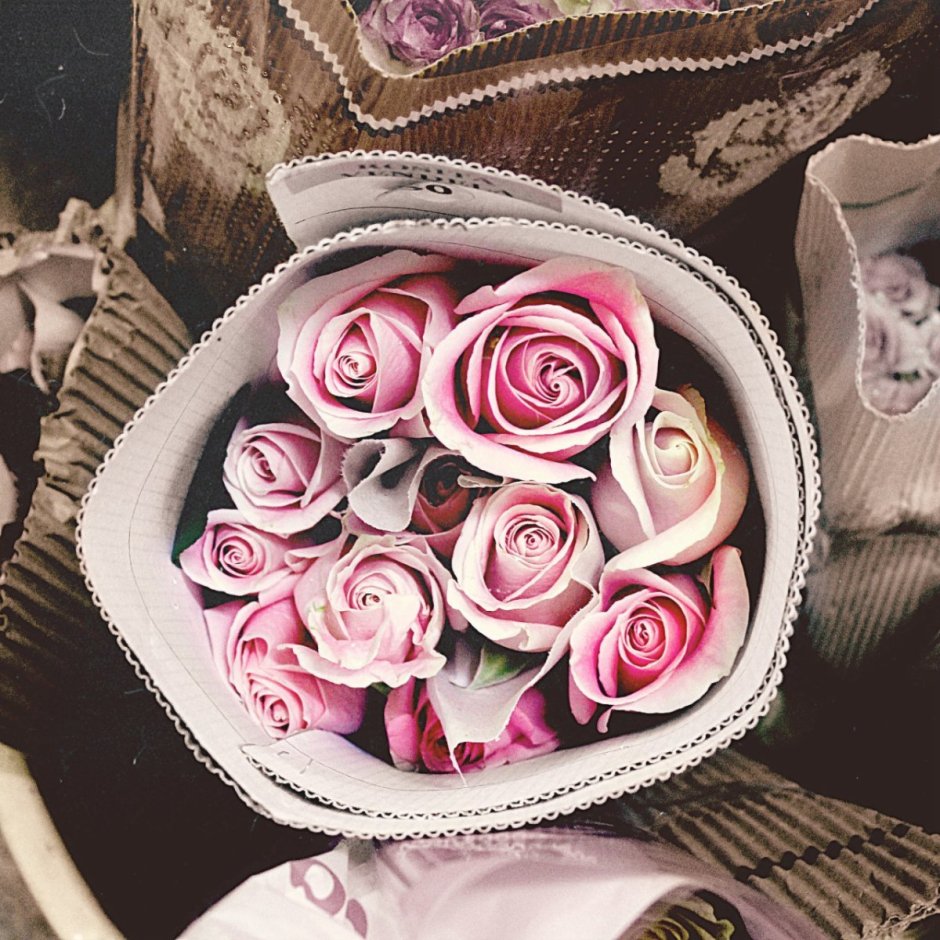 Розы розовый вдохновения