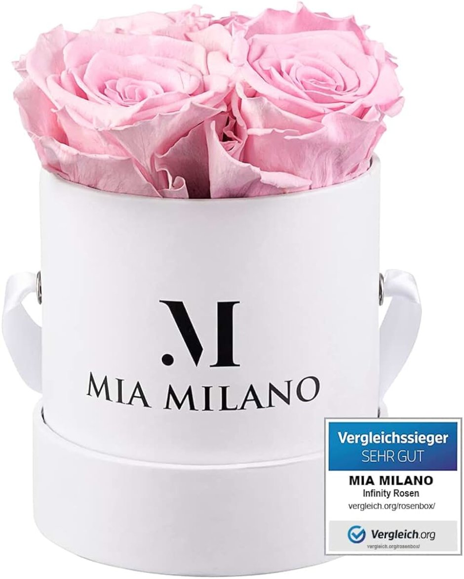 Mia Milano роза