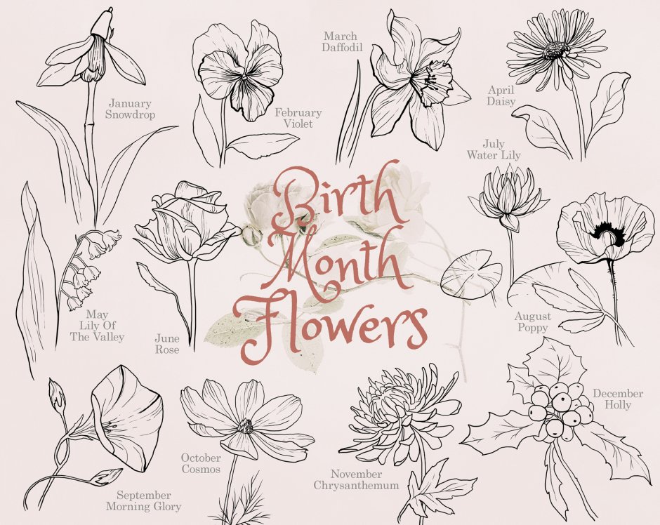 Birth month Flowers