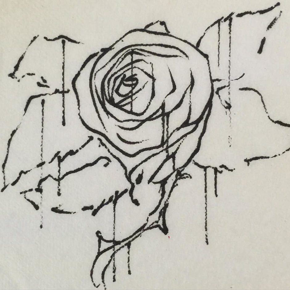 Красивая Графика роза