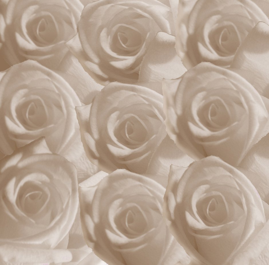 Плитка эффекта с розами