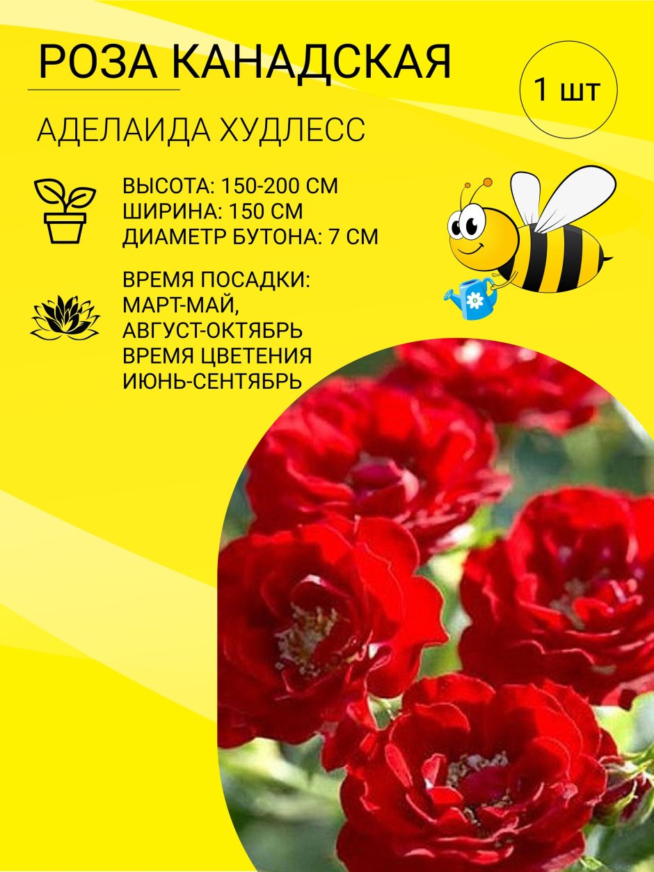 Пчелка Садовод