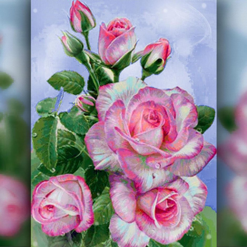 Роза флорибунда Персис