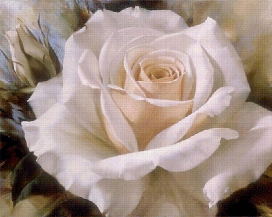 Игорь Левашов картины розы