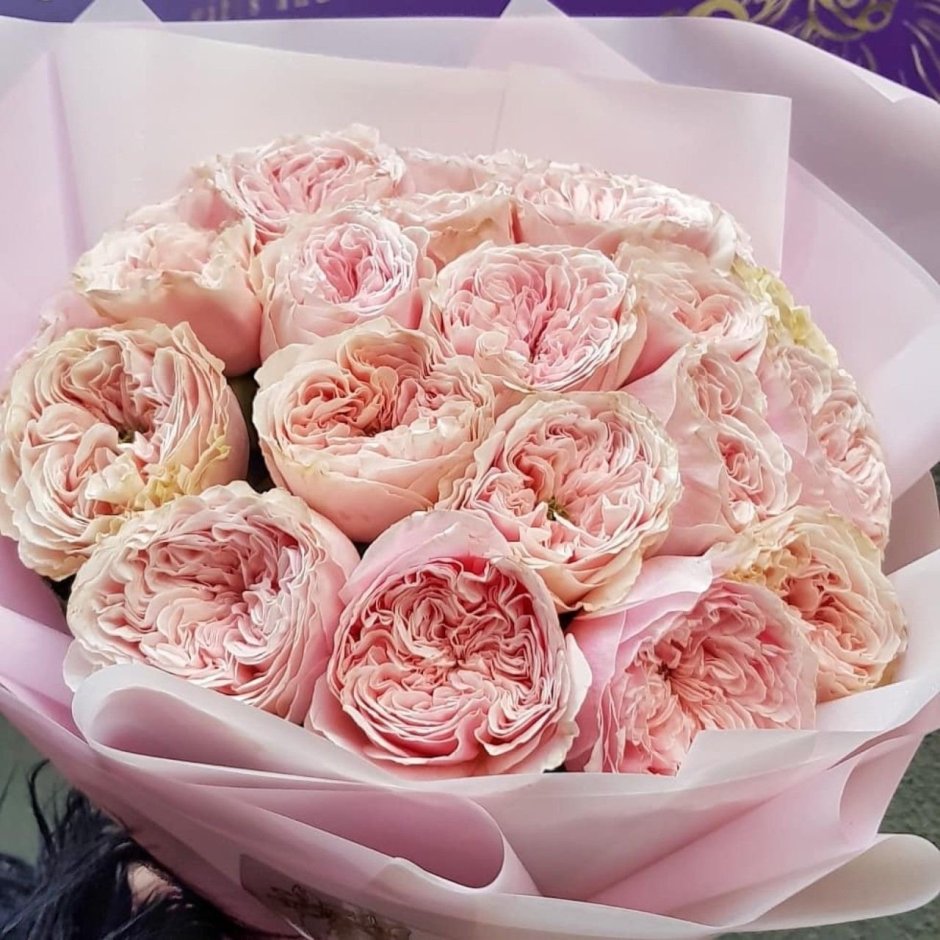 Роза пионовидная розовая