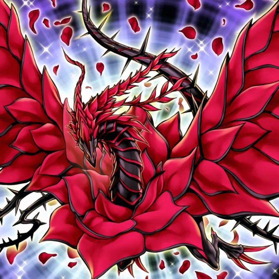 Дракон роза ЮГИОХ