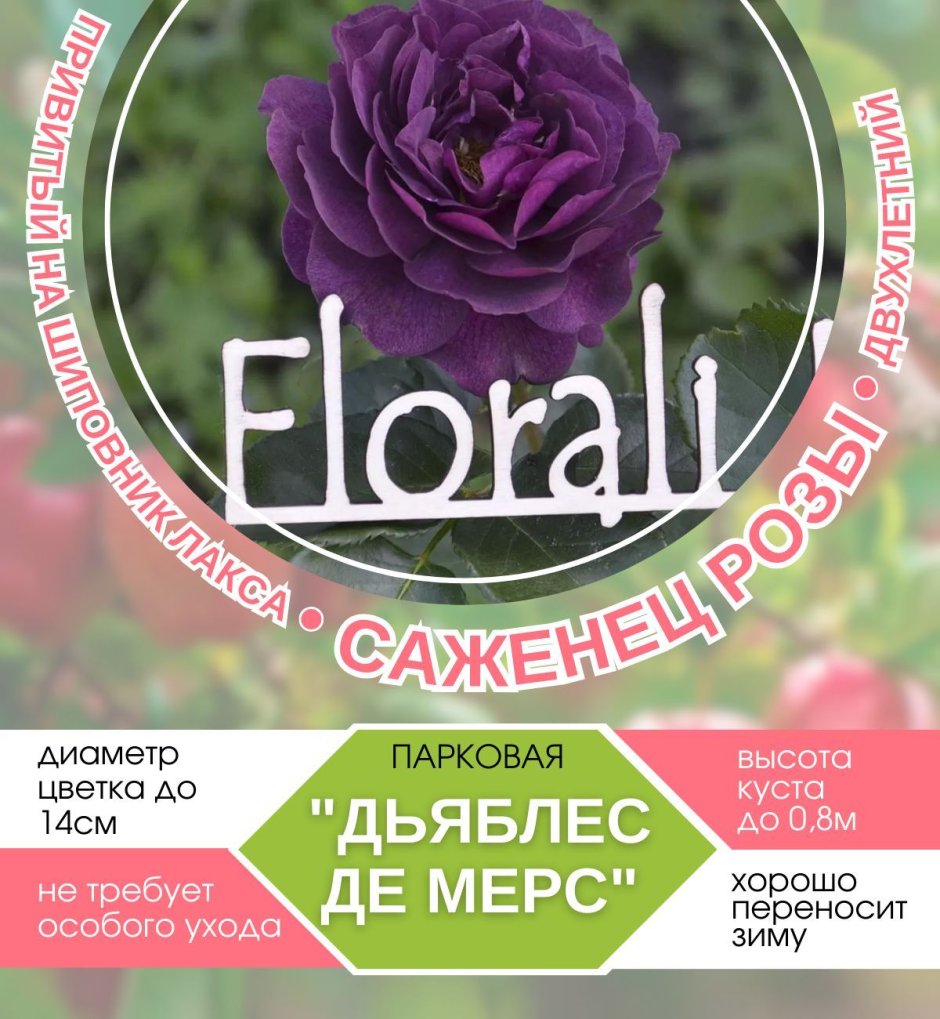Журнал люблю цветы