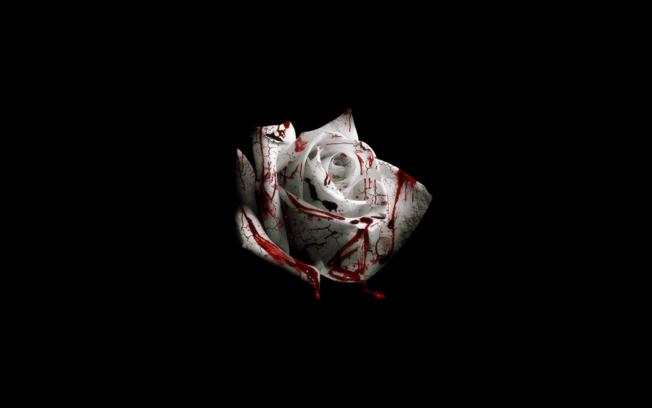 Белая роза в крови на черном фоне